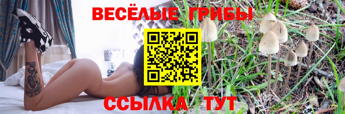 Димитровград  купить закладку  Псилоцибиновые грибы Magic Shrooms  Вход с VPN  Псилоцибиновые грибы прущие грибы 