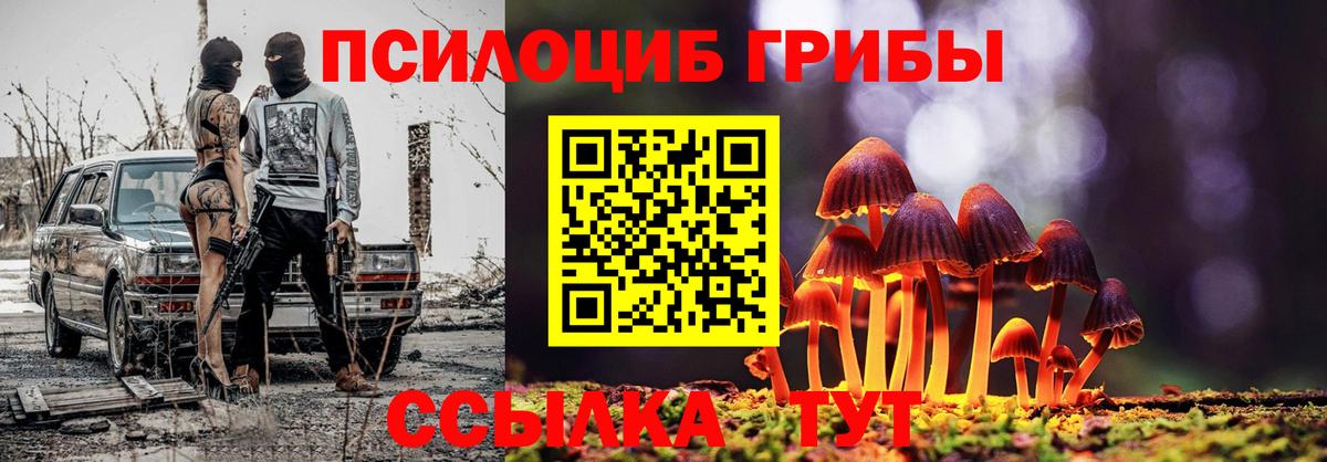Галлюциногенные грибы Psilocybine cubensis Димитровград